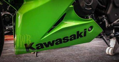Kawasaki Ninja RR Mono 2016 (6)